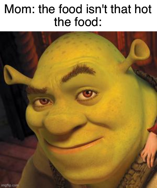 Shrexy | Mom: the food isn't that hot
the food: | image tagged in shrek sexy face,funny,memes,funny memes,shrek,mom | made w/ Imgflip meme maker