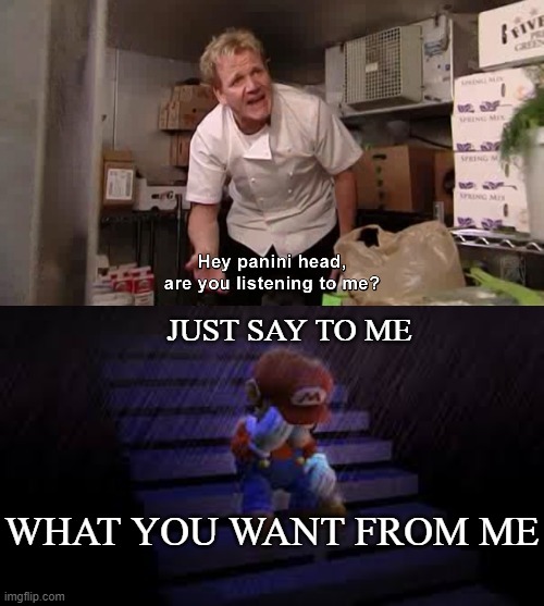ayy panini, thought you wanted me to go up | JUST SAY TO ME; WHAT YOU WANT FROM ME | image tagged in hey panini head are you listening to me,sad mario | made w/ Imgflip meme maker