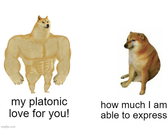 Buff Doge vs. Cheems | my platonic love for you! how much I am able to express | image tagged in memes,buff doge vs cheems | made w/ Imgflip meme maker