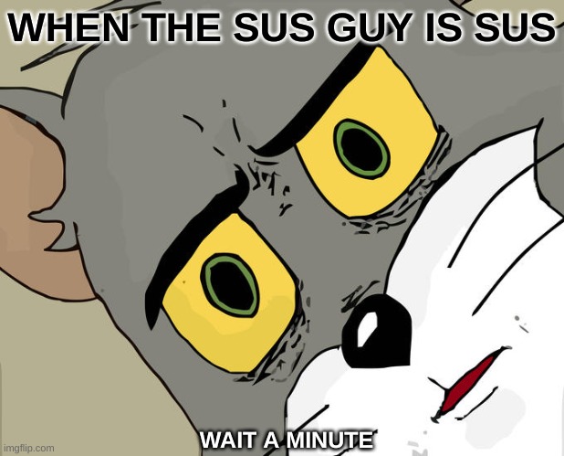 wait this doesn't even make sense everyone knows that whoever is sus is a sus guy | WHEN THE SUS GUY IS SUS; WAIT A MINUTE | image tagged in memes,unsettled tom | made w/ Imgflip meme maker