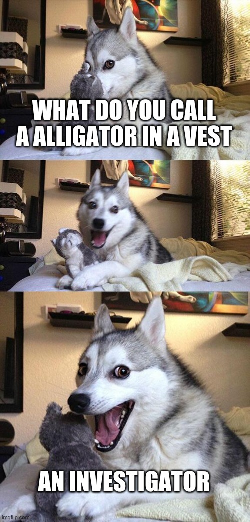 investigator | WHAT DO YOU CALL A ALLIGATOR IN A VEST; AN INVESTIGATOR | image tagged in memes,bad pun dog | made w/ Imgflip meme maker