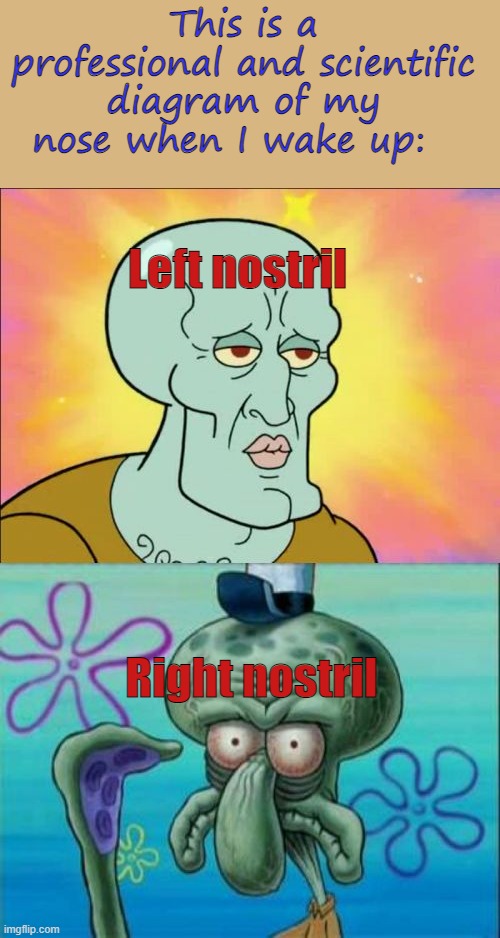 Stuffy nose *Sniffs aggressively* | This is a professional and scientific diagram of my nose when I wake up:; Left nostril; Right nostril | image tagged in memes,squidward | made w/ Imgflip meme maker