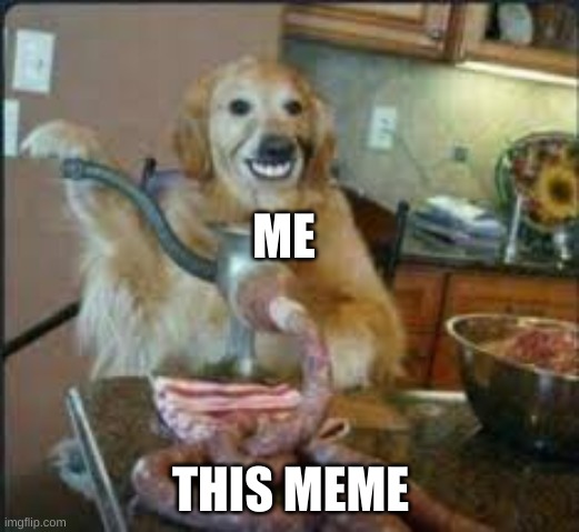 MEAT DOG | ME THIS MEME | image tagged in meat dog | made w/ Imgflip meme maker