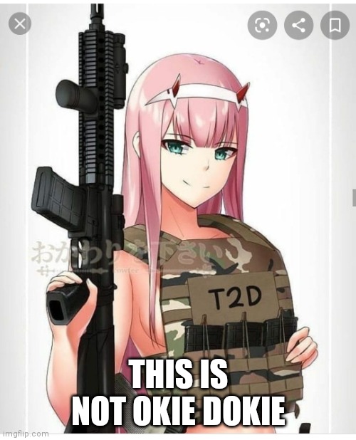 2nd amendment zero two | THIS IS NOT OKIE DOKIE | image tagged in 2nd amendment zero two | made w/ Imgflip meme maker