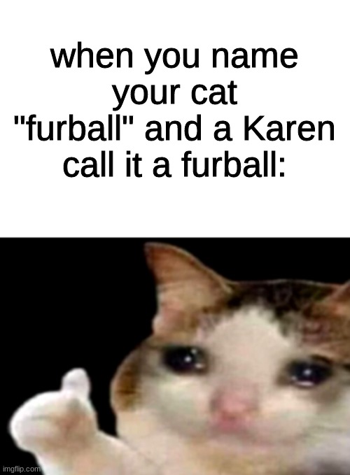 ThAt'S hIs nAmE | when you name your cat "furball" and a Karen call it a furball: | image tagged in sad cat thumbs up white spacing | made w/ Imgflip meme maker