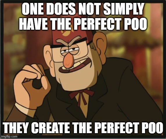 One Does Not Simply: Gravity Falls Version | ONE DOES NOT SIMPLY HAVE THE PERFECT POO; THEY CREATE THE PERFECT POO | image tagged in one does not simply gravity falls version | made w/ Imgflip meme maker