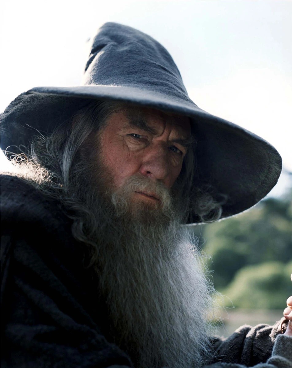 Gandalf is questioning what you just did/said Blank Meme Template