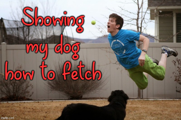 Showing my dog how to fetch | image tagged in dogs | made w/ Imgflip meme maker