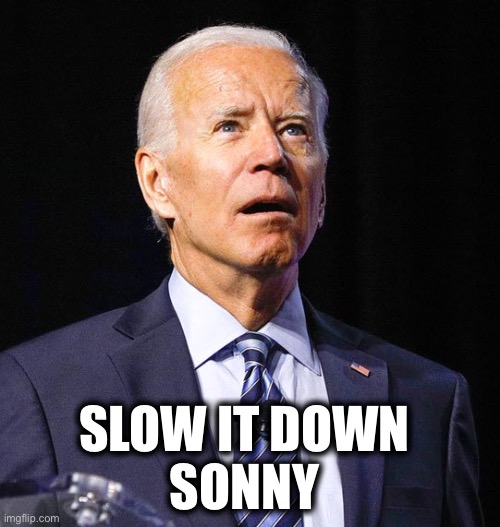 Joe Biden | SLOW IT DOWN 
SONNY | image tagged in joe biden | made w/ Imgflip meme maker