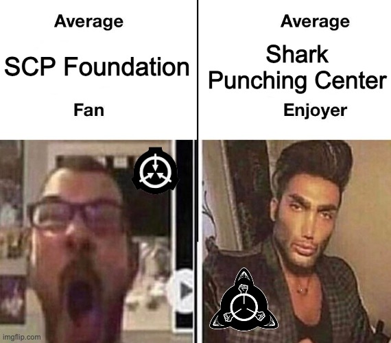 Average Fan vs. Average Enjoyer | Shark Punching Center; SCP Foundation | image tagged in average fan vs average enjoyer | made w/ Imgflip meme maker