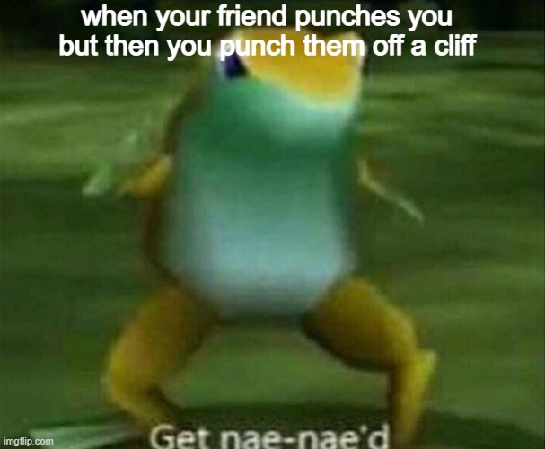 punch me in the face, your face is gone from earth | when your friend punches you but then you punch them off a cliff | image tagged in get nae-nae'd | made w/ Imgflip meme maker