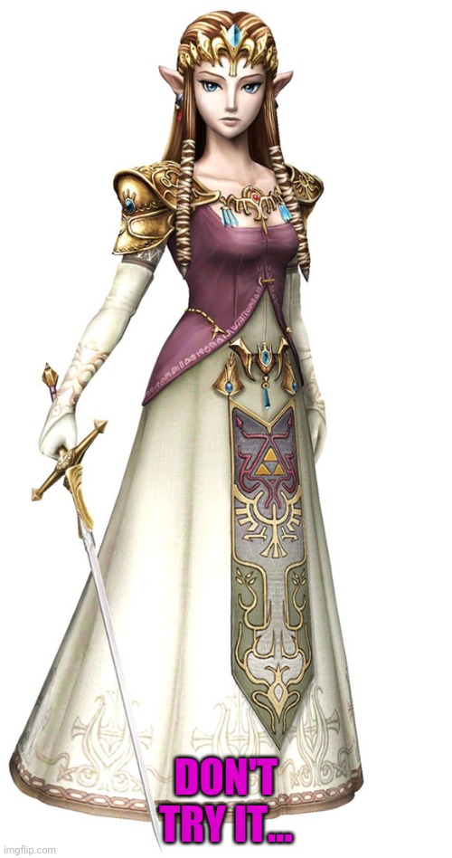 Princess Zelda | DON'T TRY IT... | image tagged in princess zelda | made w/ Imgflip meme maker