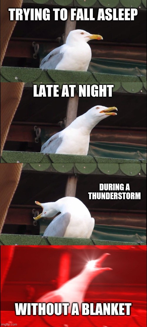 Inhaling Seagull Meme | TRYING TO FALL ASLEEP; LATE AT NIGHT; DURING A THUNDERSTORM; WITHOUT A BLANKET | image tagged in memes,inhaling seagull | made w/ Imgflip meme maker