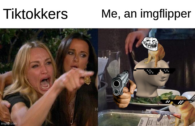 Woman Yelling At Cat | Tiktokkers; Me, an imgflipper | image tagged in memes,woman yelling at cat | made w/ Imgflip meme maker