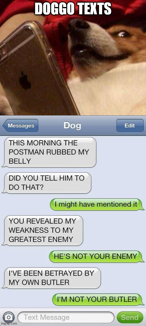 DOGGO TEXTS | image tagged in dog phone | made w/ Imgflip meme maker