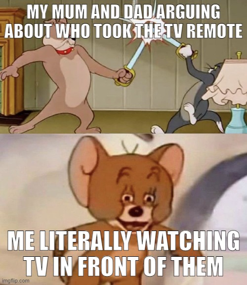 me when the | MY MUM AND DAD ARGUING ABOUT WHO TOOK THE TV REMOTE; ME LITERALLY WATCHING TV IN FRONT OF THEM | image tagged in dog and cat fighting me | made w/ Imgflip meme maker