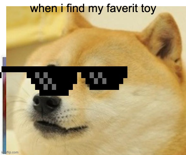 laght | when i find my faverit toy | image tagged in dogs | made w/ Imgflip meme maker