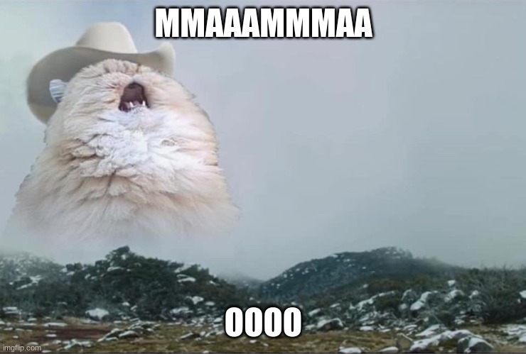 Screaming Cowboy Cat | MMAAAMMMAA; OOOO | image tagged in screaming cowboy cat | made w/ Imgflip meme maker