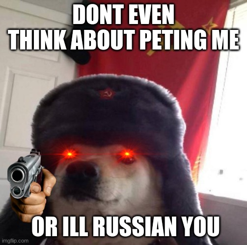 Russian Doge | DONT EVEN THINK ABOUT PETING ME; OR ILL RUSSIAN YOU | image tagged in russian doge | made w/ Imgflip meme maker