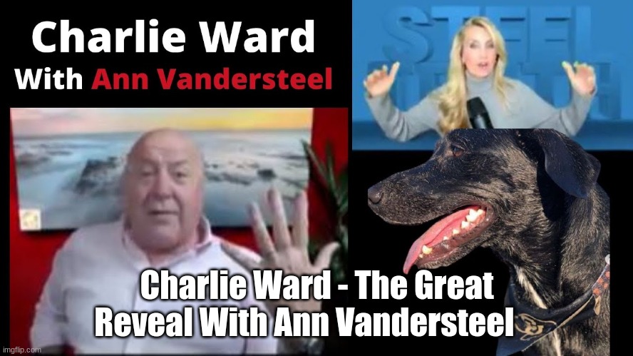 Charlie Ward - The Great Reveal With Ann Vandersteel (Video)