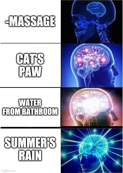 -Criteria of pleasure on skin. | -MASSAGE; CAT'S PAW; WATER FROM BATHROOM; SUMMER'S RAIN | image tagged in memes,expanding brain,cute cat,massage,summertime,rainbow | made w/ Imgflip meme maker
