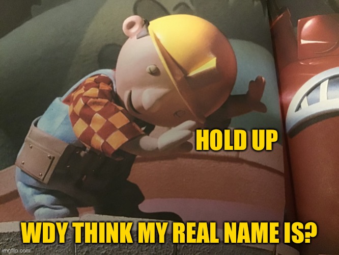 (Some of my really old followers might know this) | HOLD UP; WDY THINK MY REAL NAME IS? | image tagged in hold up bob,lol,yesh | made w/ Imgflip meme maker