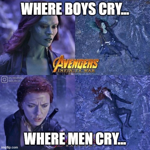 gamora black widow death | WHERE BOYS CRY... WHERE MEN CRY... | image tagged in when men and boys cry | made w/ Imgflip meme maker