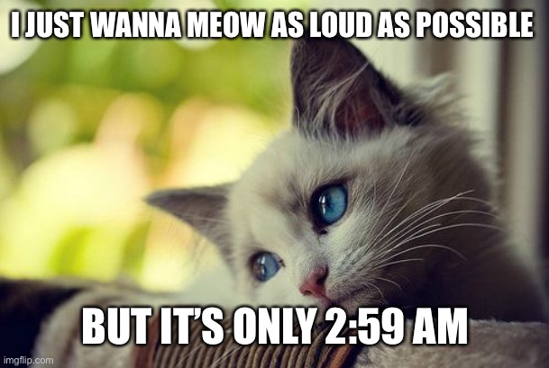First World Problems Cat Meme | I JUST WANNA MEOW AS LOUD AS POSSIBLE; BUT IT’S ONLY 2:59 AM | image tagged in memes,first world problems cat | made w/ Imgflip meme maker