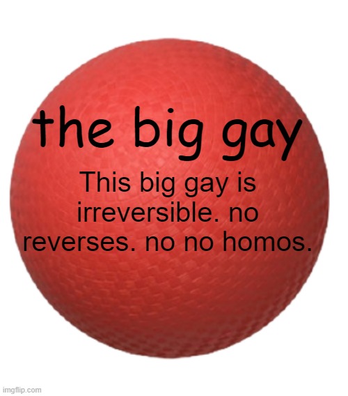The beeg gay | the big gay; This big gay is irreversible. no reverses. no no homos. | image tagged in funny | made w/ Imgflip meme maker