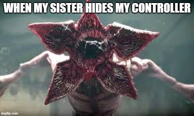 Demogorgon reaction | WHEN MY SISTER HIDES MY CONTROLLER | image tagged in demogorgon reaction | made w/ Imgflip meme maker