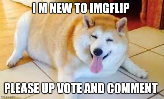 I am new |  I M NEW TO IMGFLIP; PLEASE UP VOTE AND COMMENT | image tagged in thicc doggo | made w/ Imgflip meme maker