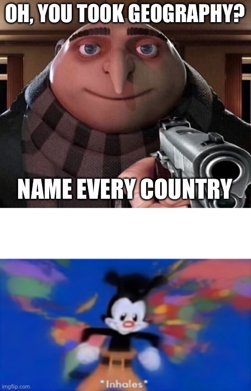 Oh so you took geography? | OH, YOU TOOK GEOGRAPHY? NAME EVERY COUNTRY | image tagged in gru gun,yakko inhale | made w/ Imgflip meme maker