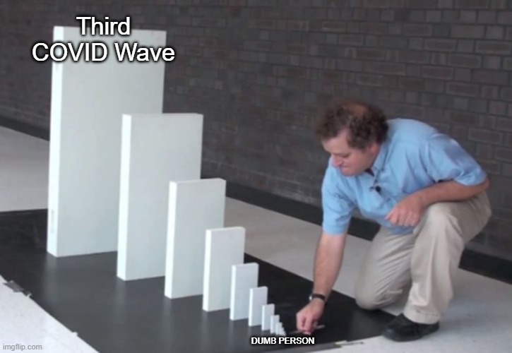 Domino Effect | Third COVID Wave; DUMB PERSON | image tagged in domino effect | made w/ Imgflip meme maker