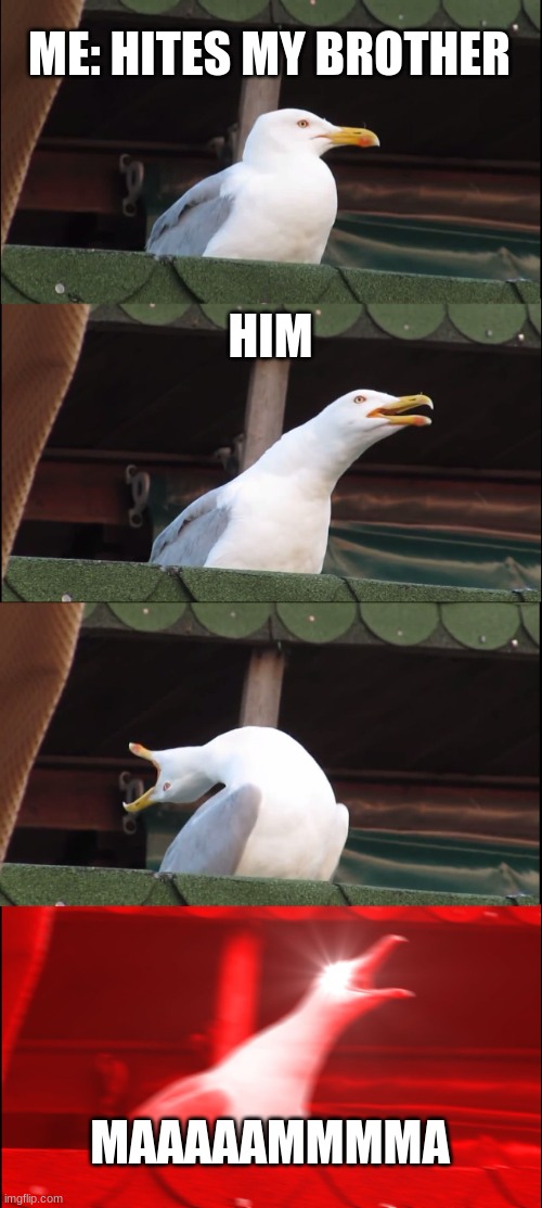 Inhaling Seagull Meme | ME: HITES MY BROTHER; HIM; MAAAAAMMMMA | image tagged in memes,inhaling seagull | made w/ Imgflip meme maker