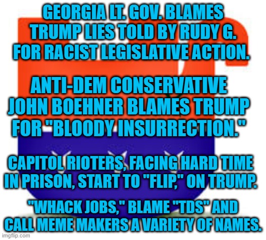 Tough Times For Trump Trolls! | GEORGIA LT. GOV. BLAMES TRUMP LIES TOLD BY RUDY G. FOR RACIST LEGISLATIVE ACTION. ANTI-DEM CONSERVATIVE JOHN BOEHNER BLAMES TRUMP FOR "BLOODY INSURRECTION."; CAPITOL RIOTERS, FACING HARD TIME IN PRISON, START TO "FLIP," ON TRUMP. "WHACK JOBS," BLAME "TDS" AND CALL MEME MAKERS A VARIETY OF NAMES. | image tagged in politics | made w/ Imgflip meme maker