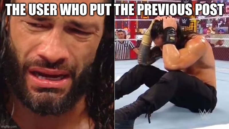 THE USER WHO PUT THE PREVIOUS POST | image tagged in crying roman reigns | made w/ Imgflip meme maker