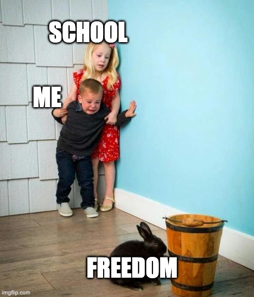 SCHOOLS SUCK | SCHOOL; ME; FREEDOM | image tagged in children scared of rabbit,freedom | made w/ Imgflip meme maker