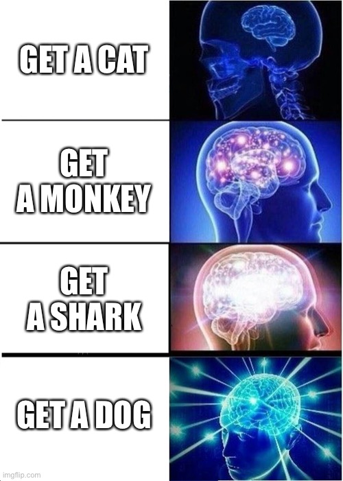 Expanding Brain | GET A CAT; GET A MONKEY; GET A SHARK; GET A DOG | image tagged in memes,expanding brain | made w/ Imgflip meme maker