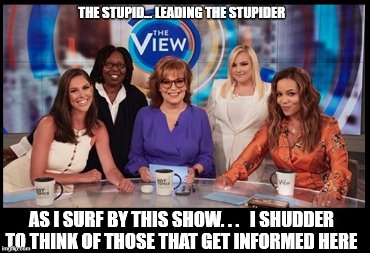 The Dim VIEW |  THE STUPID... LEADING THE STUPIDER; AS I SURF BY THIS SHOW. . .   I SHUDDER TO THINK OF THOSE THAT GET INFORMED HERE | image tagged in democrats,republicans,the view,hypocrisy,socialism | made w/ Imgflip meme maker