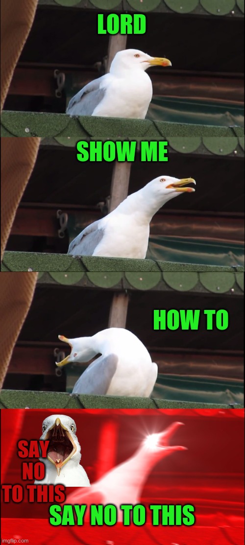 XD | LORD; SHOW ME; HOW TO; SAY NO TO THIS; SAY NO TO THIS | image tagged in memes,inhaling seagull | made w/ Imgflip meme maker
