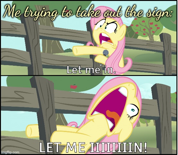 Fluttershy "Let Me In!" | Me trying to take out the sign: | image tagged in fluttershy let me in | made w/ Imgflip meme maker