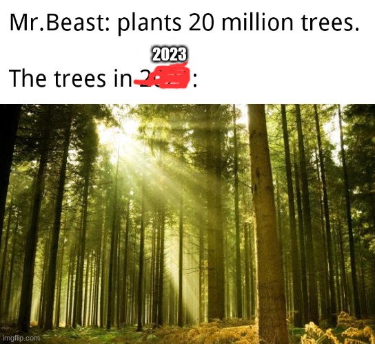2023 | image tagged in mr beast,team trees,true | made w/ Imgflip meme maker