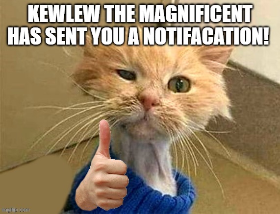 thumb cat | KEWLEW THE MAGNIFICENT HAS SENT YOU A NOTIFACATION! | image tagged in thumb cat | made w/ Imgflip meme maker