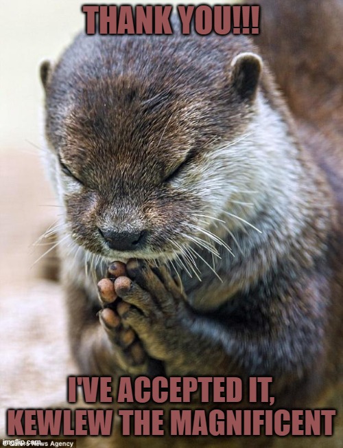 Thank you Lord Otter | THANK YOU!!! I'VE ACCEPTED IT, KEWLEW THE MAGNIFICENT | image tagged in thank you lord otter | made w/ Imgflip meme maker