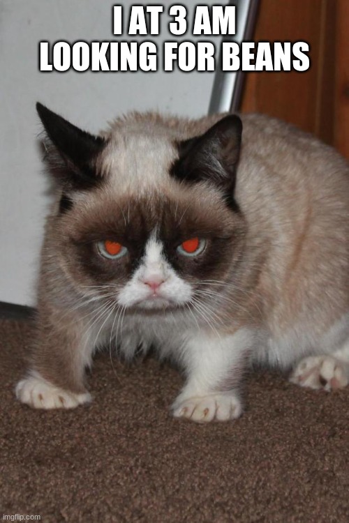 Grumpy Cat red eyes | I AT 3 AM LOOKING FOR BEANS | image tagged in grumpy cat red eyes | made w/ Imgflip meme maker
