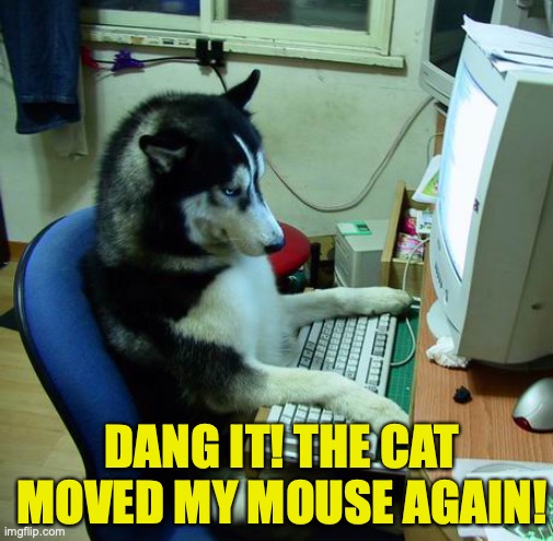 I Have No Idea What I Am Doing Meme | DANG IT! THE CAT MOVED MY MOUSE AGAIN! | image tagged in memes,i have no idea what i am doing | made w/ Imgflip meme maker