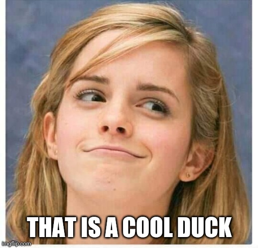 THAT IS A COOL DUCK | made w/ Imgflip meme maker