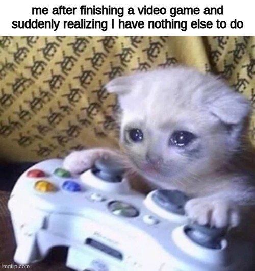 Sad gaming cat | me after finishing a video game and suddenly realizing I have nothing else to do | image tagged in sad gaming cat,video games | made w/ Imgflip meme maker