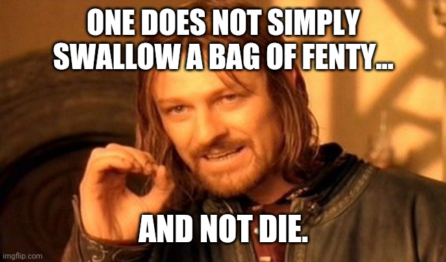 One Does Not Simply Meme | ONE DOES NOT SIMPLY SWALLOW A BAG OF FENTY... AND NOT DIE. | image tagged in memes,one does not simply | made w/ Imgflip meme maker