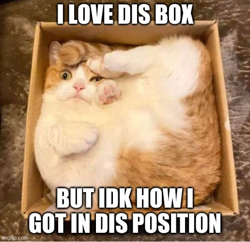 Cat Box Squished | I LOVE DIS BOX; BUT IDK HOW I GOT IN DIS POSITION | image tagged in cat box squished | made w/ Imgflip meme maker